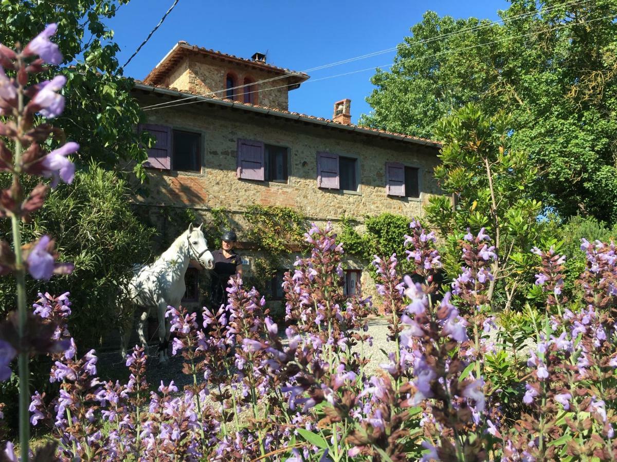 Farmhouse B&B Il Paretaio Barberino Val d'Elsa ภายนอก รูปภาพ