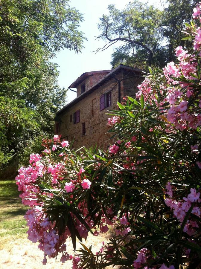 Farmhouse B&B Il Paretaio Barberino Val d'Elsa ภายนอก รูปภาพ