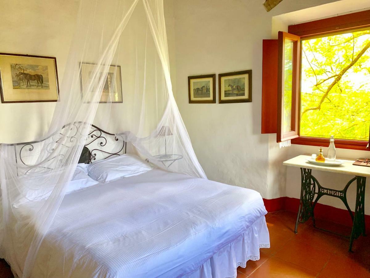 Farmhouse B&B Il Paretaio Barberino Val d'Elsa ภายนอก รูปภาพ