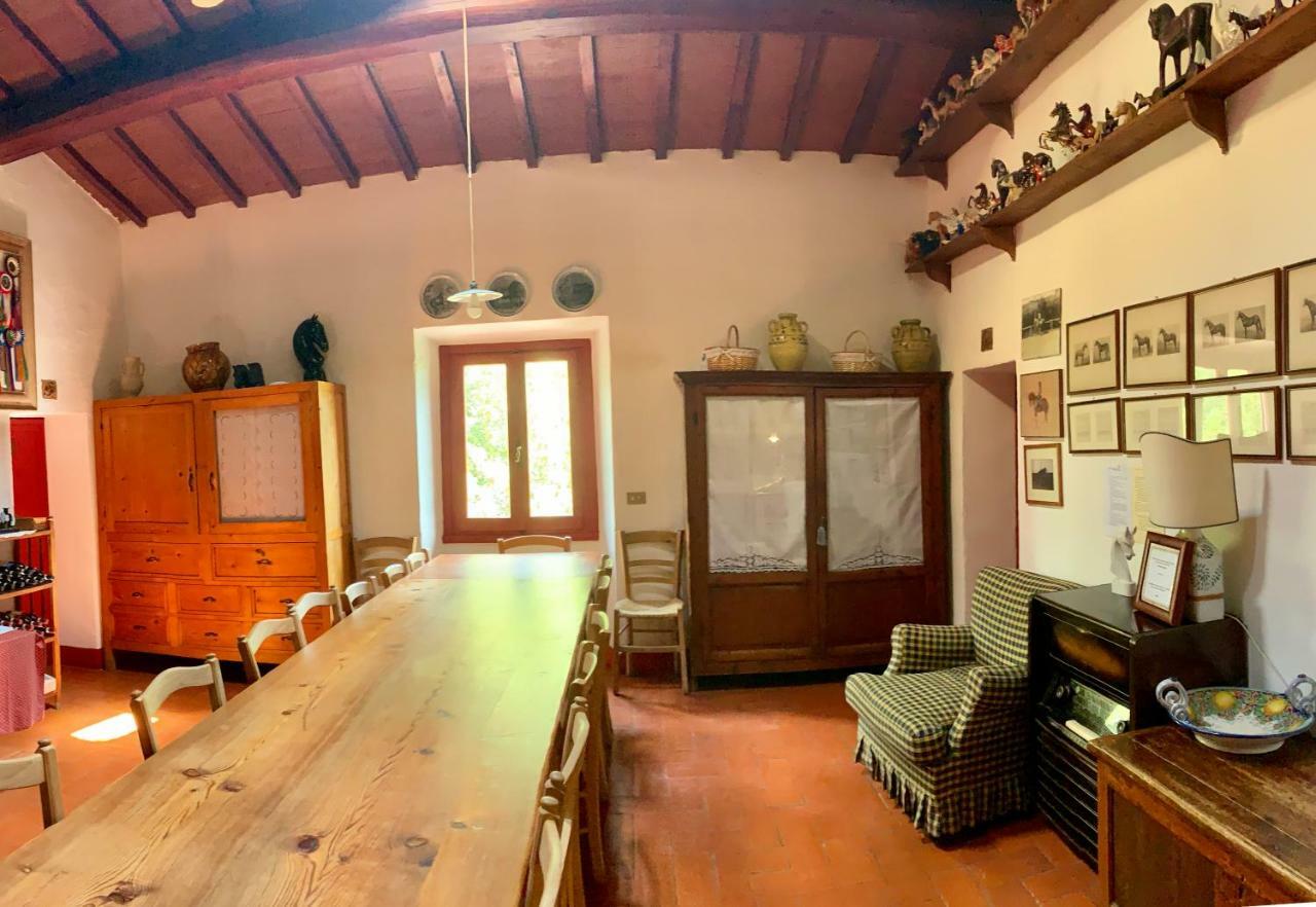 Farmhouse B&B Il Paretaio Barberino Val d'Elsa ภายนอก รูปภาพ